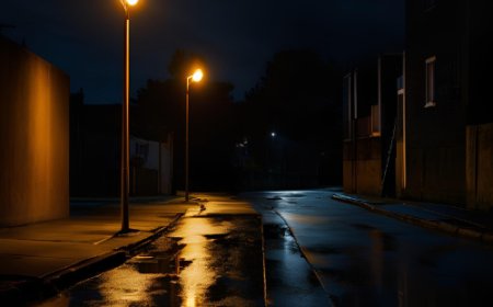 Lambanın Gölgesinde