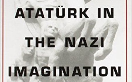 Stefan Ihrig Eleştirisi: Naziler ve Atatürk