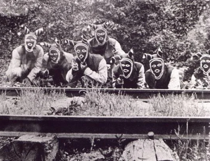 Suç ve suçun toplum üzerindeki etkisi