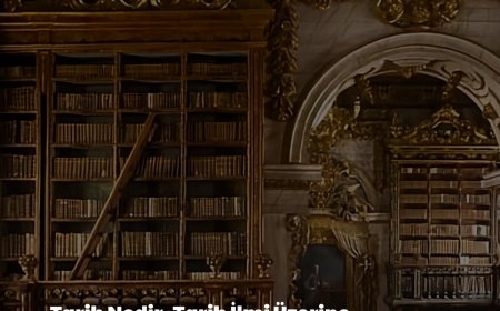 Tarih Nedir, Tarih İlmi Üzerine