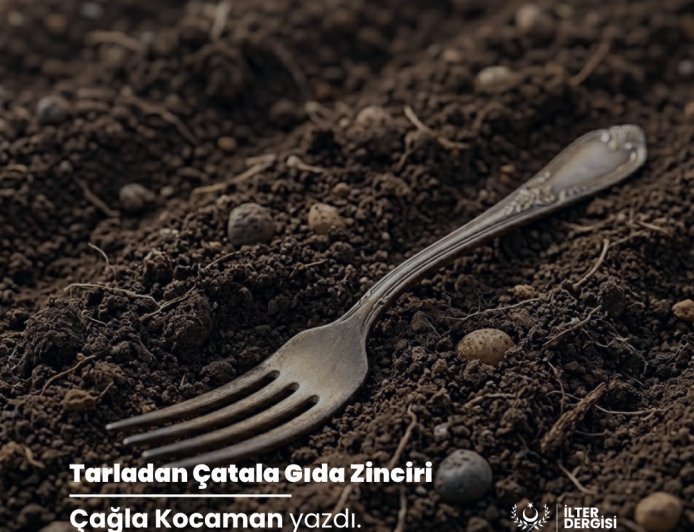 Tarladan Çatala Gıda Zinciri