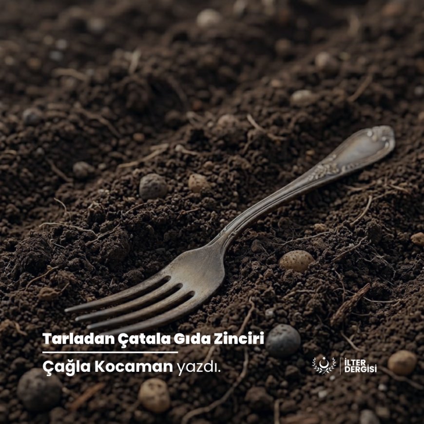 Tarladan Çatala Gıda Zinciri